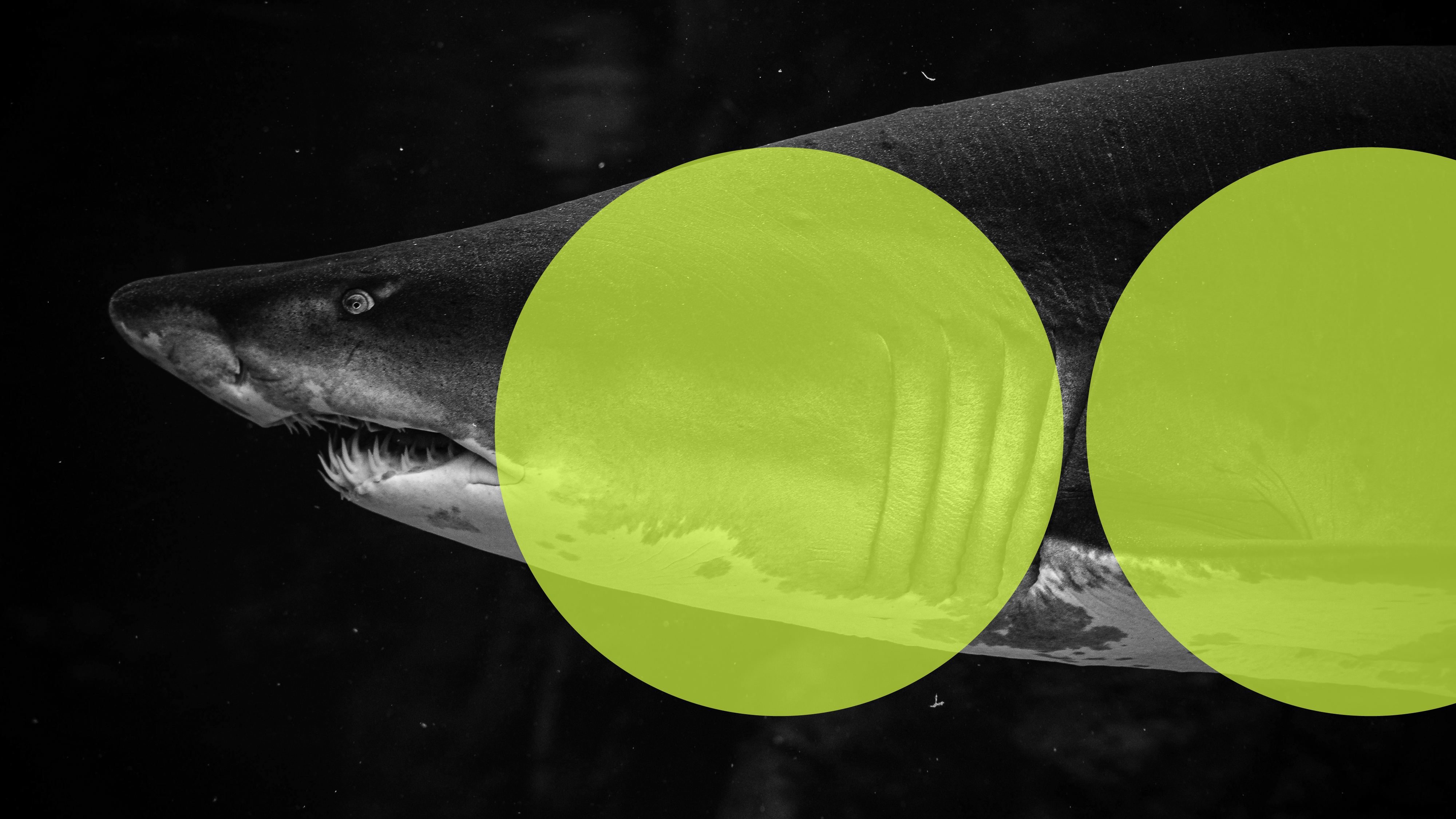 Double circle designs part46