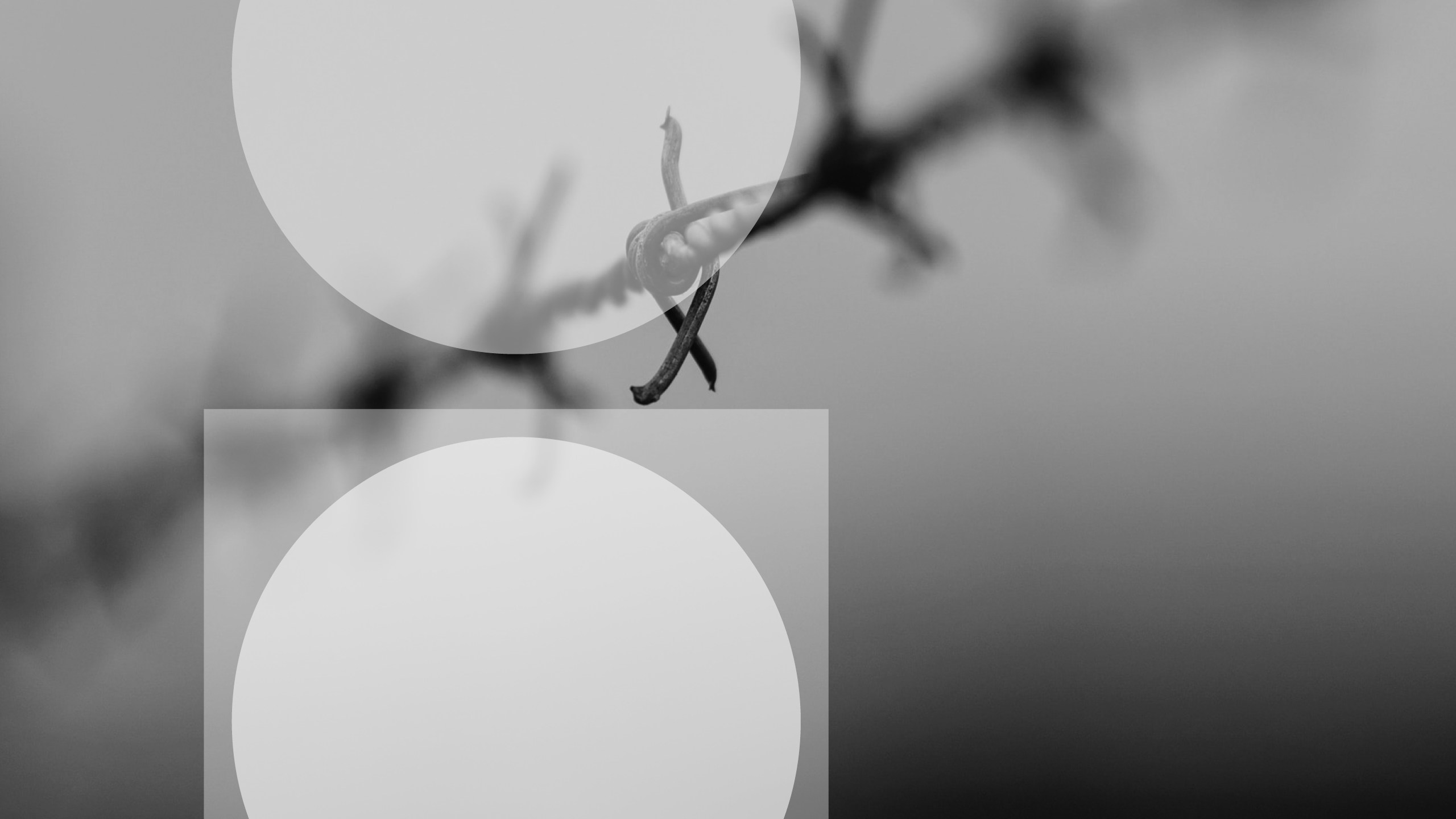 Double circle designs17