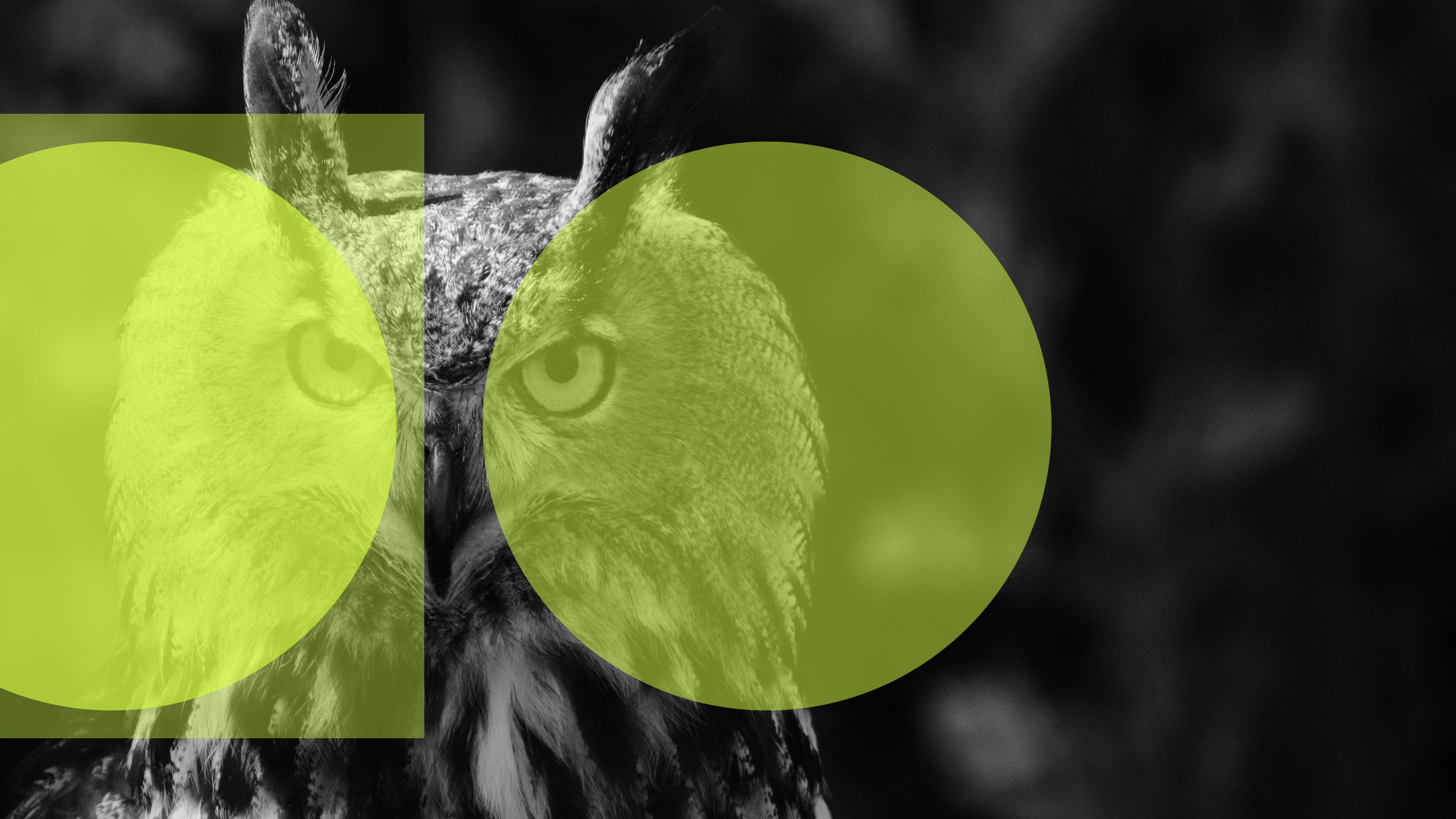 Double circle designs8