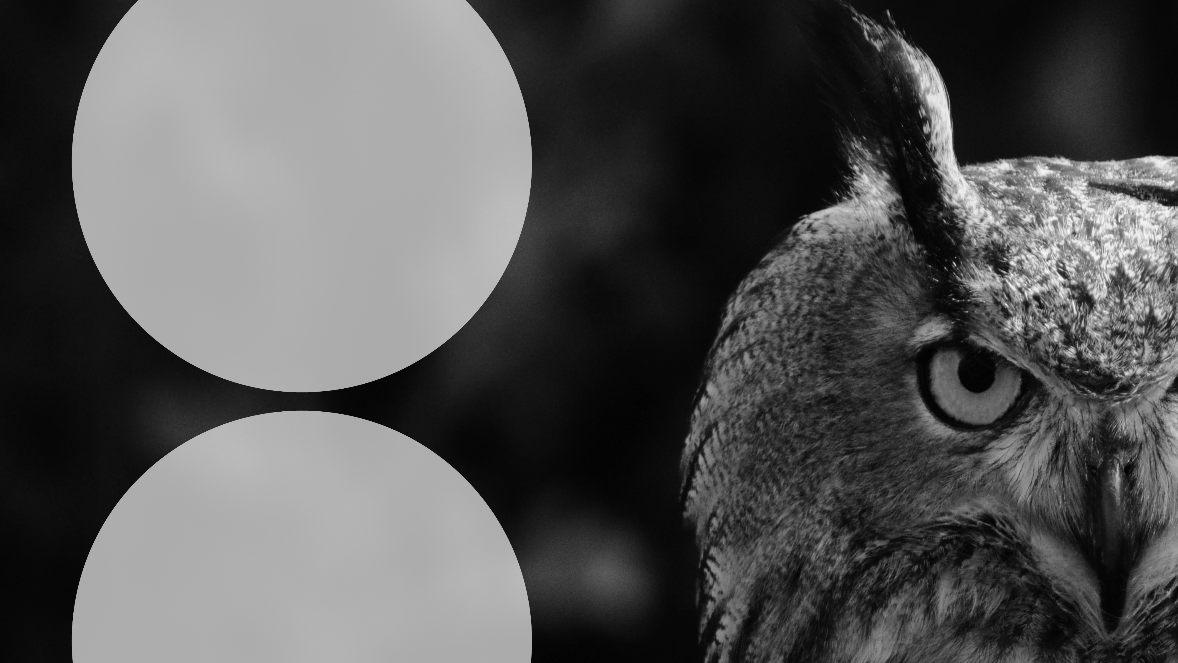 Double circle designsagain15