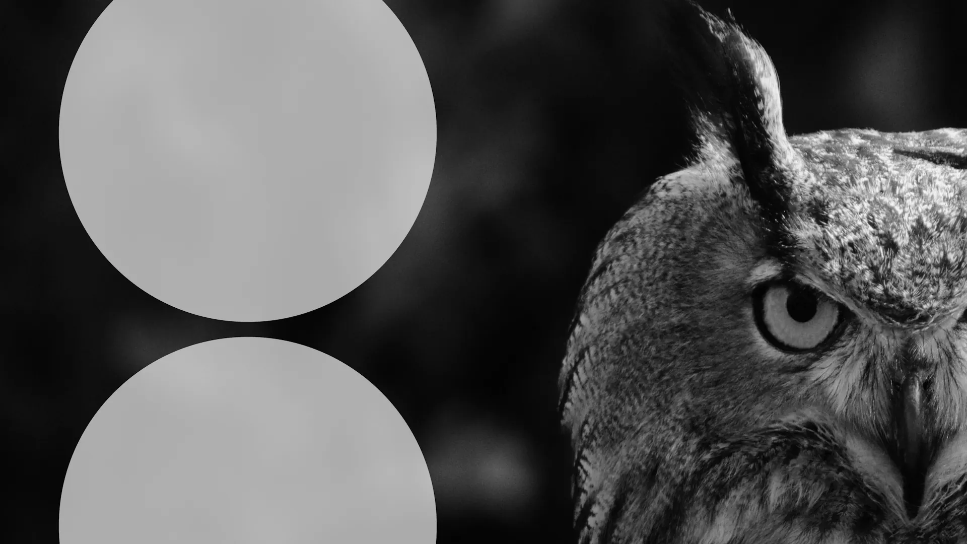 Double circle designsagain15