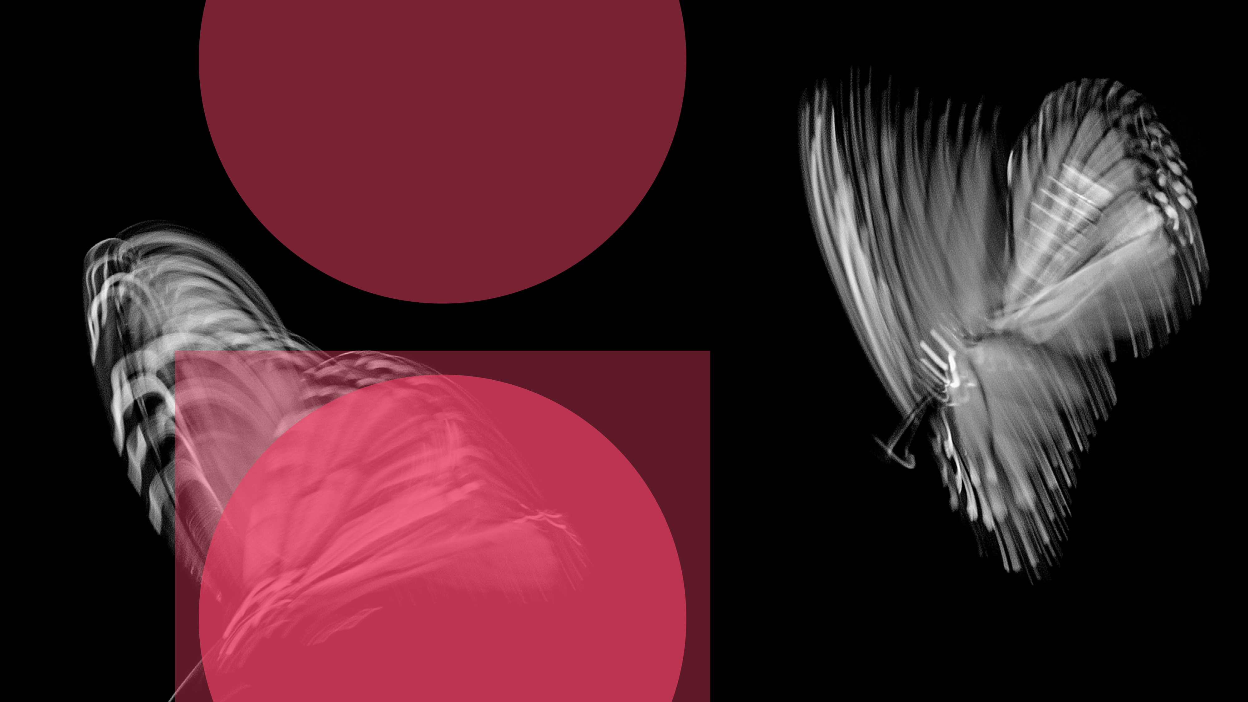 Double circle designs part421