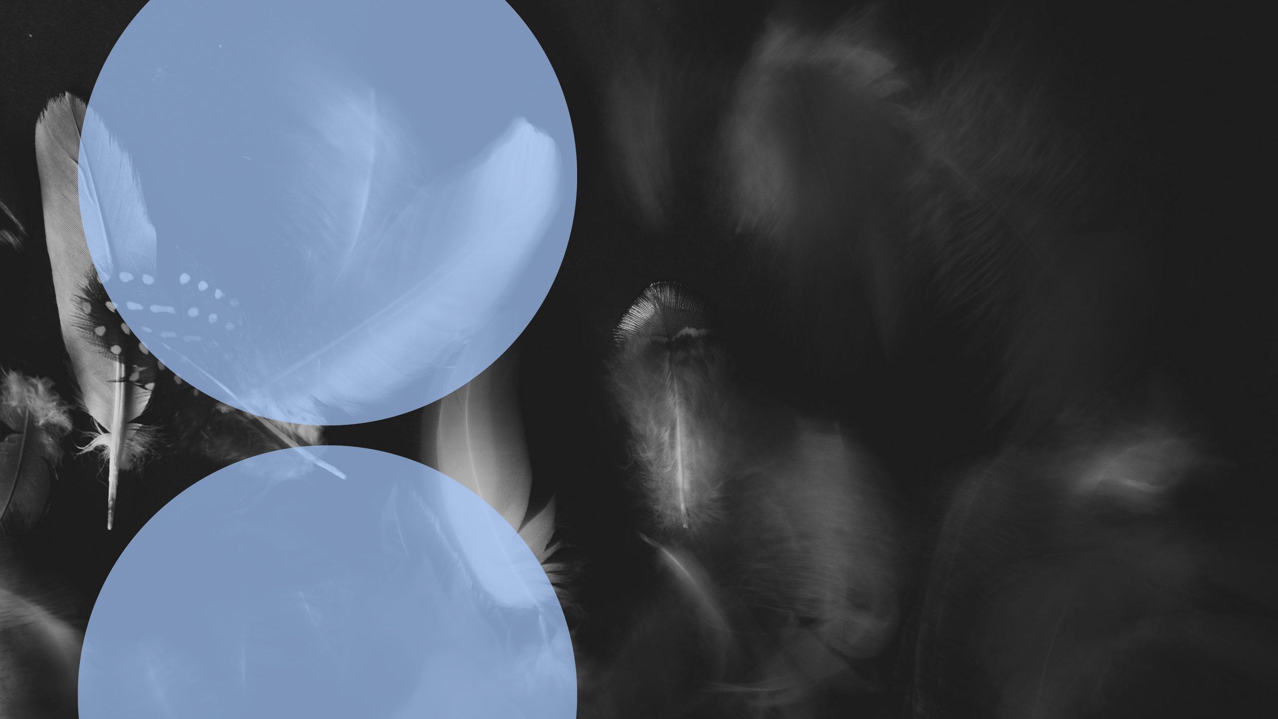 Double circle designs2