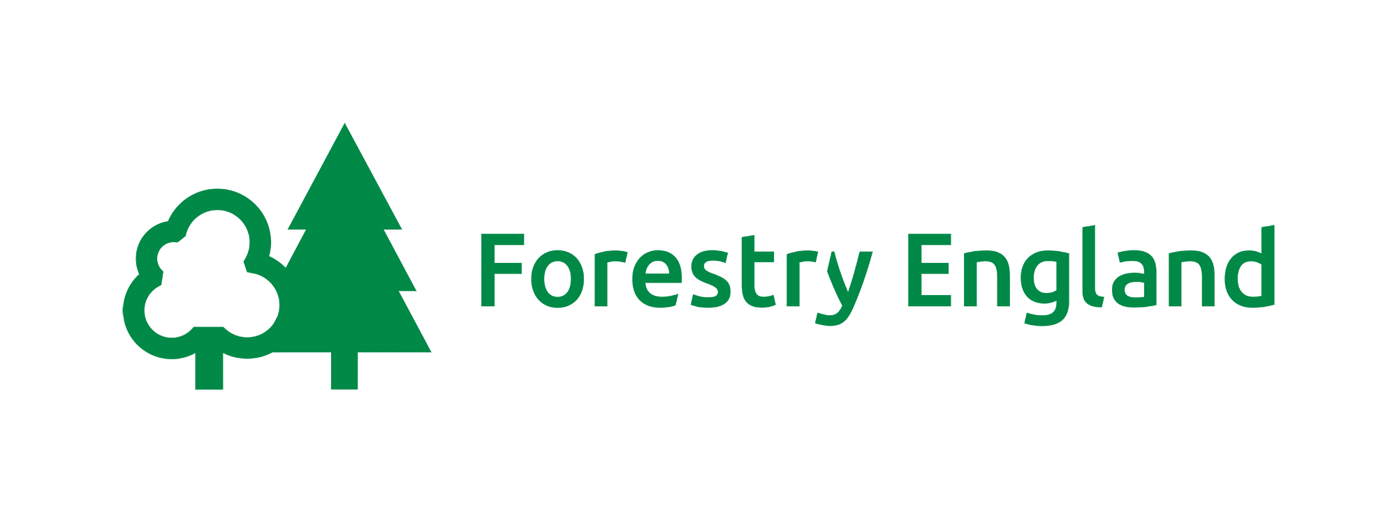 FE Primary Logo Green