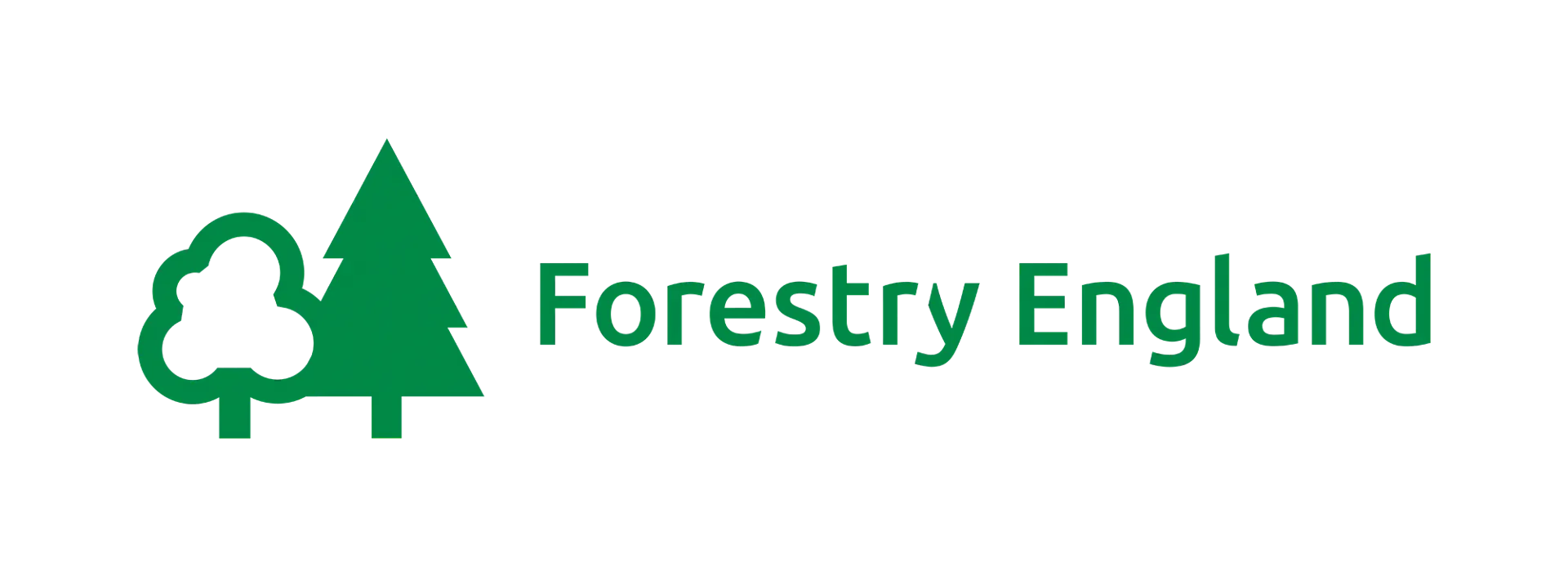 FE Primary Logo Green